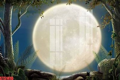 File gốc Tranh sơn dầu phương tây tổng hợp STS1410 (thiết kế) cho in ấn