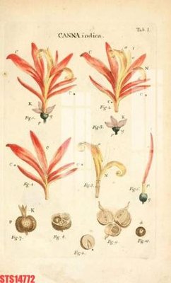 File PSD Tranh sơn dầu phương tây tổng hợp STS14772 (gốc) nhiều lớp (multi-layer)