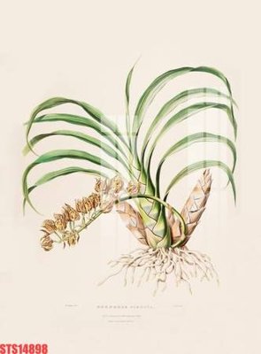 Ảnh gốc file in lụa Tranh sơn dầu phương tây tổng hợp STS14898 chi tiết