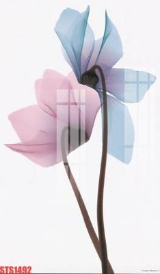 File ảnh Tranh sơn dầu phương tây tổng hợp STS1492 (gốc) in Hiflex