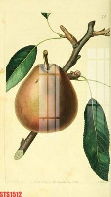 Tải file Tranh sơn dầu phương tây tổng hợp STS1512 (gốc) in trên mọi chất liệu