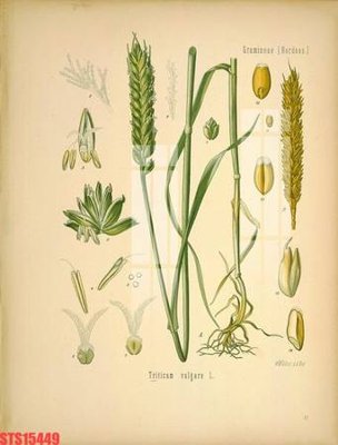 File gốc Tranh sơn dầu phương tây tổng hợp STS15449 (dành cho quảng cáo)