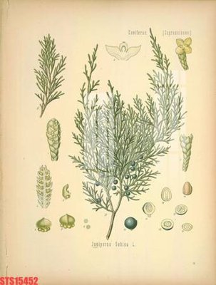 File ảnh Tranh sơn dầu phương tây tổng hợp STS15452 (gốc) in backdrop sự kiện