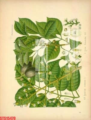 Tải file tranh gốc Tranh sơn dầu phương tây tổng hợp STS15479 chất lượng cao