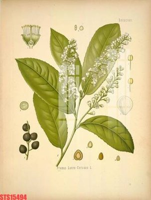 Hình ảnh file gốc Tranh sơn dầu phương tây tổng hợp STS15494 cho in UV