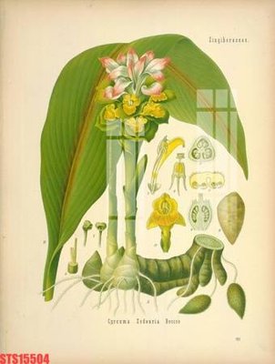 Tải file gốc Tranh sơn dầu phương tây tổng hợp STS15504 (in tráng gương) siêu đẹpFile tranh gốc Tranh sơn dầu phương tây tổng hợp STS15504 chất lượng cao