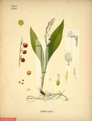 File tranh trang trí Tranh sơn dầu phương tây tổng hợp STS15528 (file gốc)