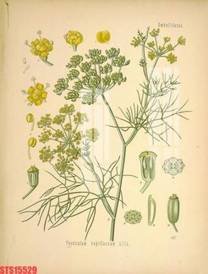 File tranh Tranh sơn dầu phương tây tổng hợp STS15529 (bản gốc) in lụa 3D