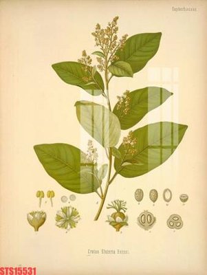 File PSD in ấn Tranh sơn dầu phương tây tổng hợp STS15531 (chất lượng cao)