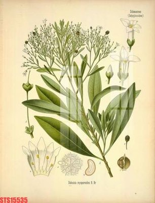 Download file gốc Tranh sơn dầu phương tây tổng hợp STS15535 (in mica) 3D