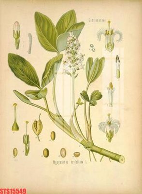 Download file gốc Tranh sơn dầu phương tây tổng hợp STS15549 (in mica) 3D