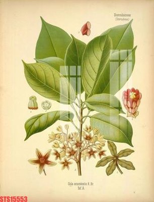 Tải file Tranh sơn dầu phương tây tổng hợp STS15553 (gốc) chủ đề phong thủy