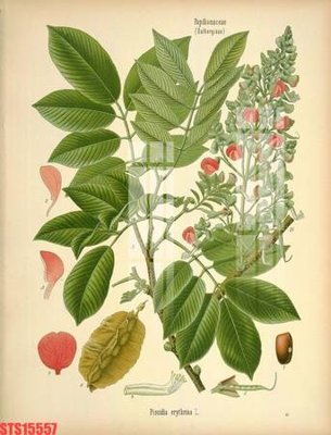 File ảnh Tranh sơn dầu phương tây tổng hợp STS15557 (gốc) trang trí khách sạn