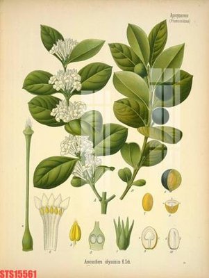 File in ấn cao cấp Tranh sơn dầu phương tây tổng hợp STS15561 (file gốc)