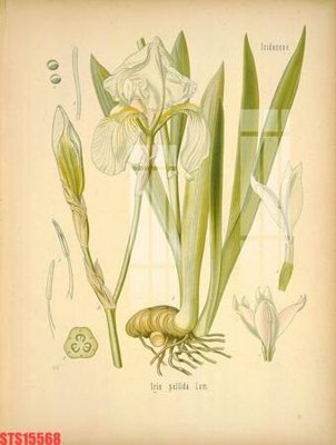 Tải file tranh Tranh sơn dầu phương tây tổng hợp STS15568 (gốc) tại Filetranh.com