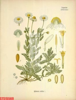 File PSD Tranh sơn dầu phương tây tổng hợp STS15569 (nguyên gốc) chất lượng cao