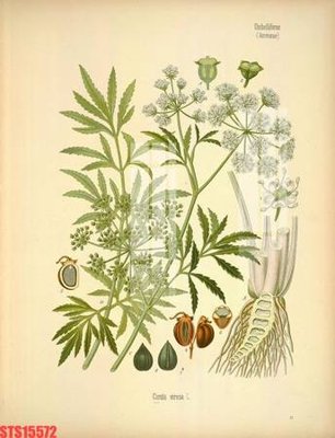 File tranh in mica Tranh sơn dầu phương tây tổng hợp STS15572 (độ phân giải cao)