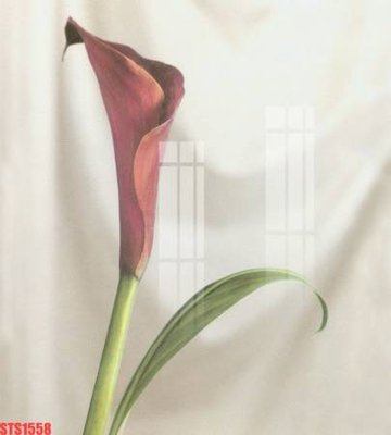 File gốc Tranh sơn dầu phương tây tổng hợp STS1558 (in lụa) tranh mã đáo