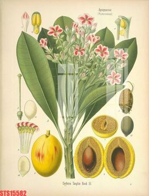 File PSD Tranh sơn dầu phương tây tổng hợp STS15582 (gốc) cho designer