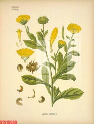 File gốc Tranh sơn dầu phương tây tổng hợp STS15583 (PNG) chất lượng cao