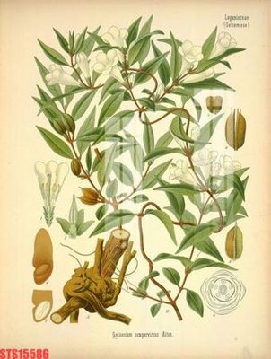 File in mica Tranh sơn dầu phương tây tổng hợp STS15586 (bản gốc) sắc sảo