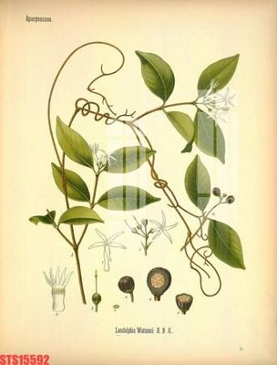 File gốc Tranh sơn dầu phương tây tổng hợp STS15592 (chủ đề hiện đại) trang trí