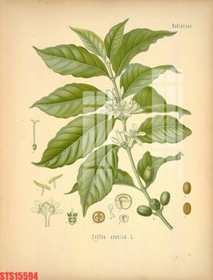 Tải file Tranh sơn dầu phương tây tổng hợp STS15594 (gốc) chủ đề hoa sen