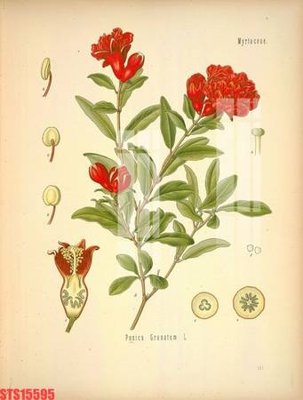 File ảnh gốc Tranh sơn dầu phương tây tổng hợp STS15595 (chuyên in mica)