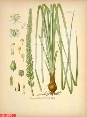 Mua file gốc Tranh sơn dầu phương tây tổng hợp STS15596 (PSD) tại Filetranh.com