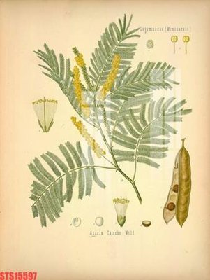 File gốc Tranh sơn dầu phương tây tổng hợp STS15597 (Filetranh.com) Tranh sơn dầu phương tây tổng hợp STS15597