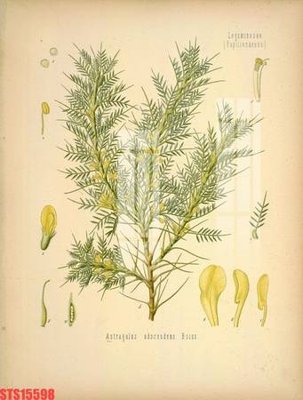 Download file gốc Tranh sơn dầu phương tây tổng hợp STS15598 (in lụa) nghệ thuật