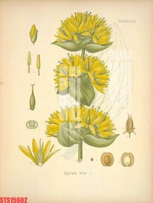 File tranh Tranh sơn dầu phương tây tổng hợp STS15602 (ảnh gốc) in trần nhà