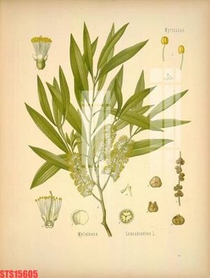 Tải file Tranh sơn dầu phương tây tổng hợp STS15605 (gốc) in tranh tráng gương