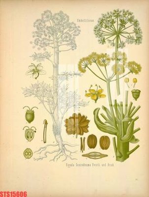 File gốc Tranh sơn dầu phương tây tổng hợp STS15606 (cho in ấn) độc quyền