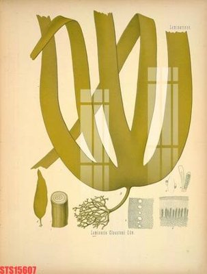 File gốc Tranh sơn dầu phương tây tổng hợp STS15607 (trang trí) cho phòng khách