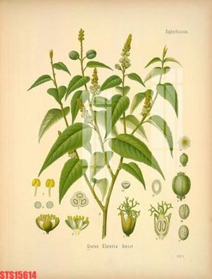 Download file gốc Tranh sơn dầu phương tây tổng hợp STS15614 (in mica) trong suốt