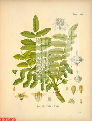 Mua file gốc Tranh sơn dầu phương tây tổng hợp STS15615 (in ấn) tại Filetranh.com