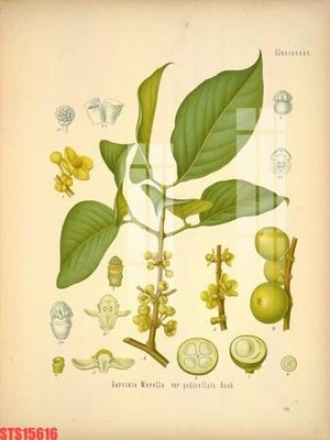 Hình ảnh file gốc in lụa Tranh sơn dầu phương tây tổng hợp STS15616