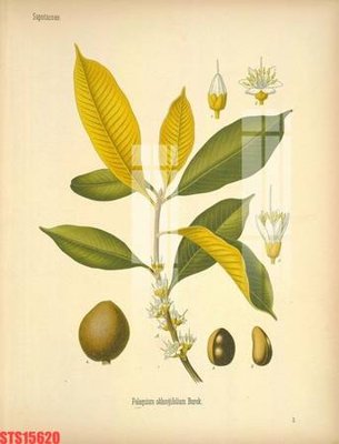 Download file tranh PSD Tranh sơn dầu phương tây tổng hợp STS15620 để chỉnh sửa