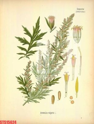 File PSD Tranh sơn dầu phương tây tổng hợp STS15624 (bản gốc) dễ dàng edit