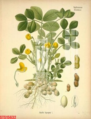 File tranh Tranh sơn dầu phương tây tổng hợp STS15632 (ảnh gốc) độc quyền