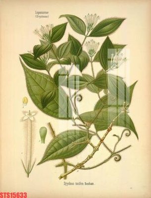 Tải file Tranh sơn dầu phương tây tổng hợp STS15633 (gốc) in ấn chất lượng