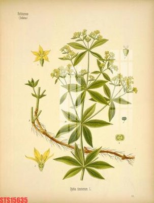 Download file gốc Tranh sơn dầu phương tây tổng hợp STS15635 (in mica) logo