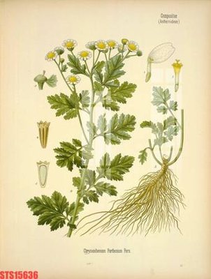 Download file Tranh sơn dầu phương tây tổng hợp STS15636 (gốc) cho xưởng in