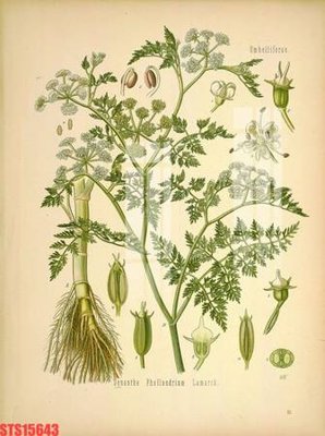 Tải file Tranh sơn dầu phương tây tổng hợp STS15643 (ảnh gốc) in gạch men