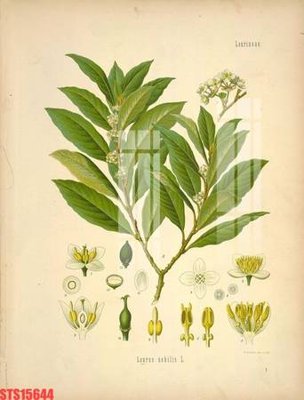 File gốc Tranh sơn dầu phương tây tổng hợp STS15644 (trang trí) phòng làm việc