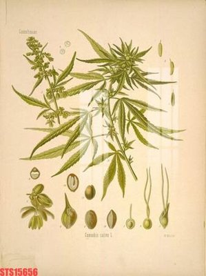 Tải file gốc Tranh sơn dầu phương tây tổng hợp STS15656 (in tráng gương) 5DFile gốc Tranh sơn dầu phương tây tổng hợp STS15656 (in ấn) phiên bản premium