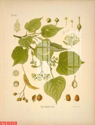 File in ấn cao cấp Tranh sơn dầu phương tây tổng hợp STS15659 (file gốc)