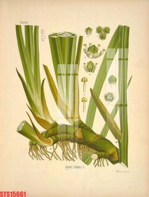 Tải file Tranh sơn dầu phương tây tổng hợp STS15661 (gốc) làm file quảng cáo