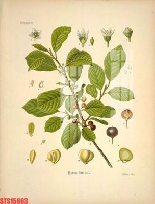 File tranh in trần Tranh sơn dầu phương tây tổng hợp STS15663 (ảnh gốc siêu nét)